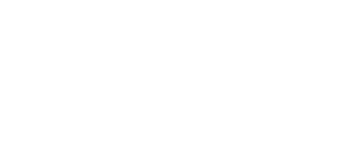 BNP Logo weiss