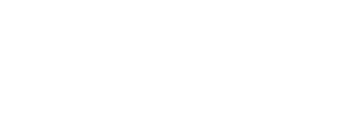 BX Logo weiss