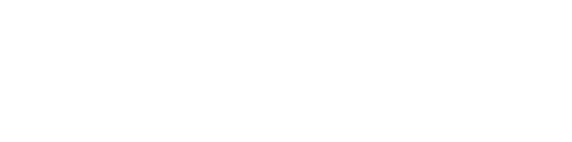 traderscup_the_market_nzz